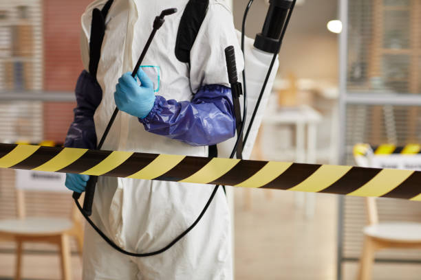 Professional Blood Cleanup technician working in Wrightwood, CA